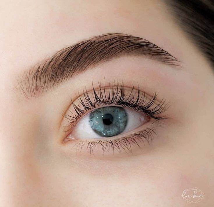 Top 5+ Brow and Lash Treatment in Sydney