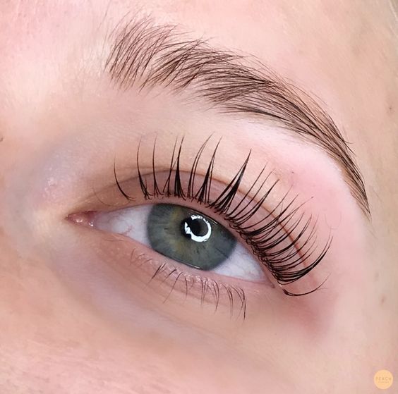 Top 5+ Brow and Lash Treatment in Sydney
